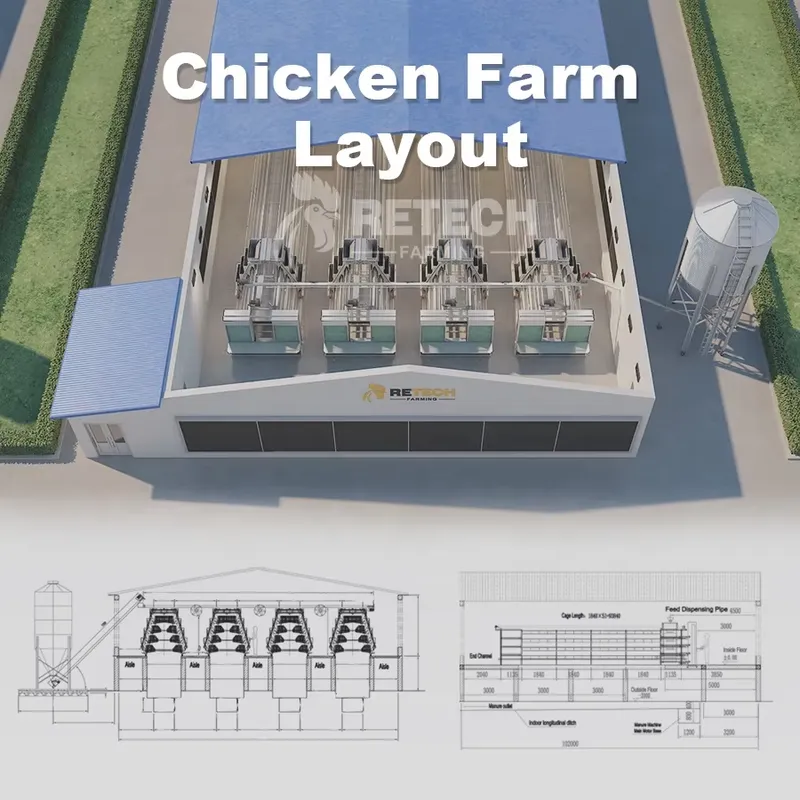 Otomatik Katmanlı Tavuk Kafesi - Farming Africa incelemesi ve fiyatı