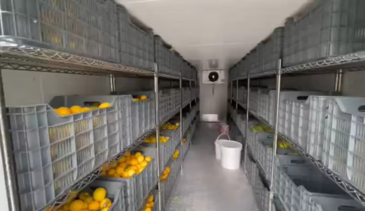 Afrika'daki Şebeke Dışı Çiftli - Farming Africa incelemesi ve fiyatı