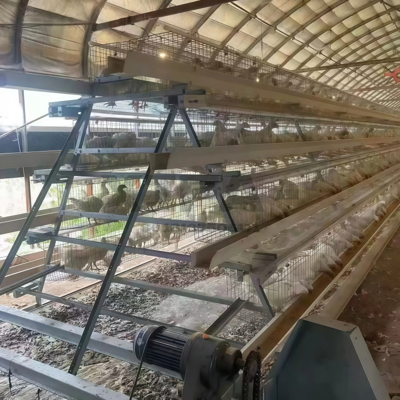 Güney Afrika'da Makine Satışı  - Farming Africa incelemesi ve fiyatı